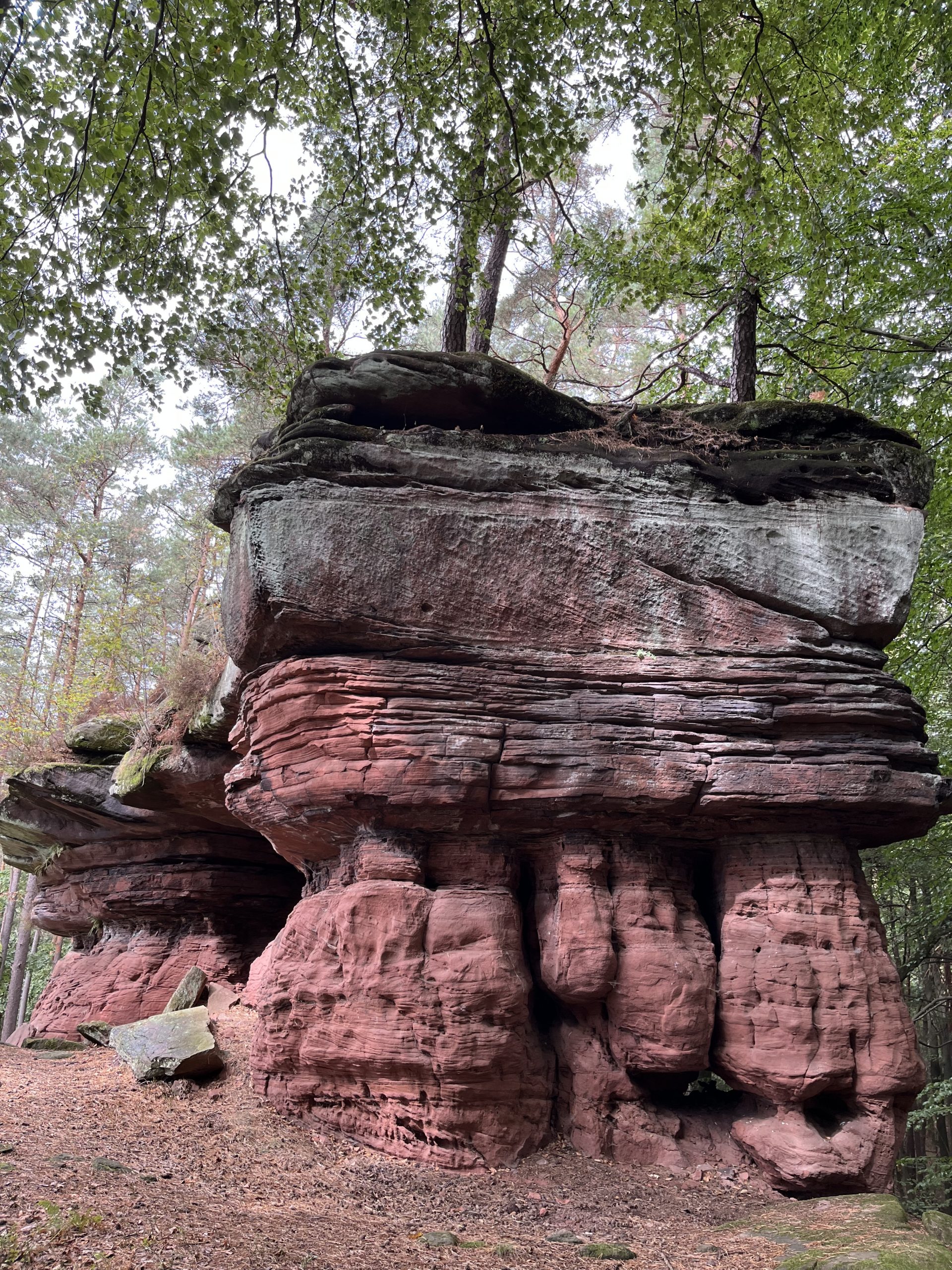 berg im pfälzer wald 6 buchstaben